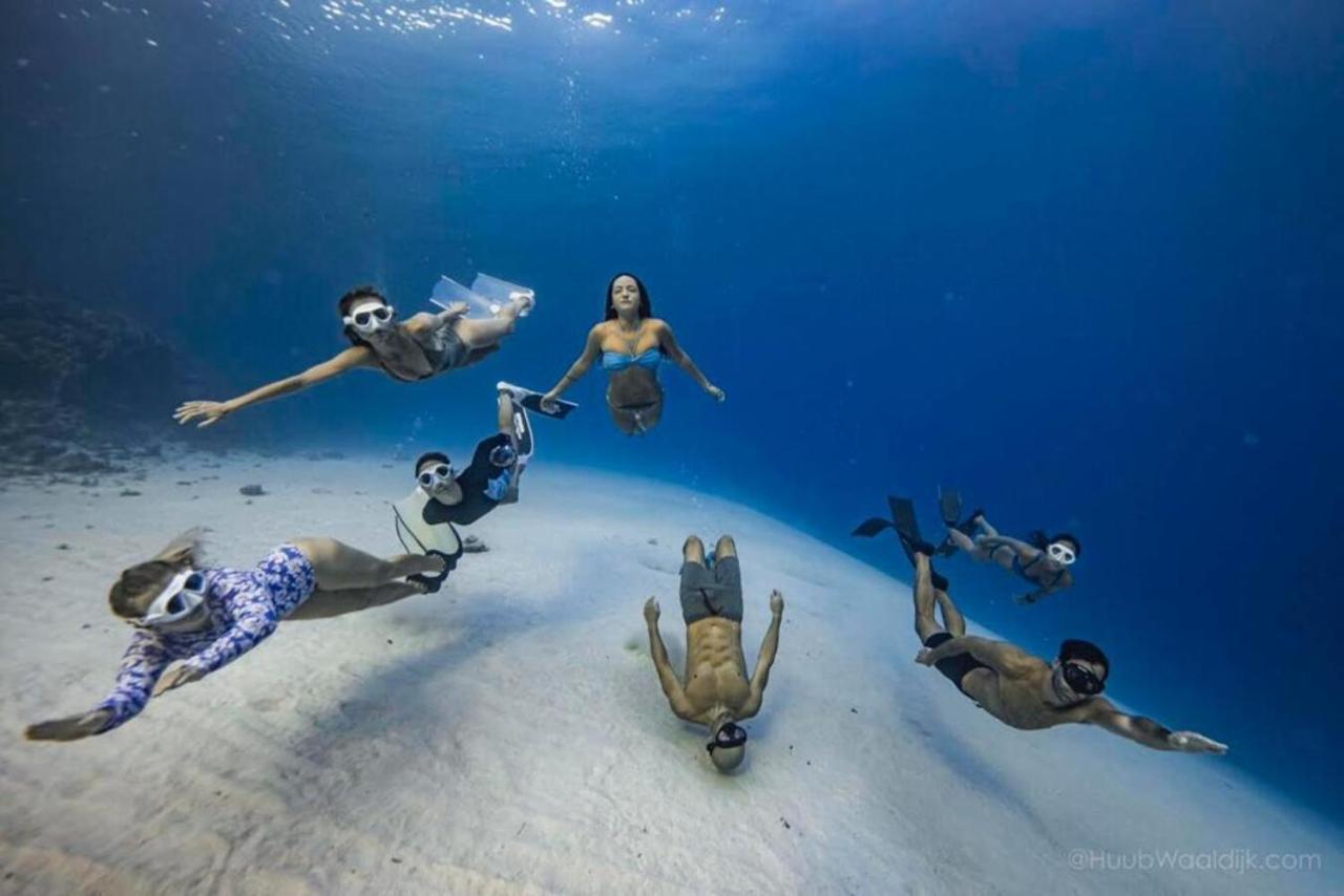 بيت شباب Blue Chitta Yoga & Freediving كو تاو المظهر الخارجي الصورة